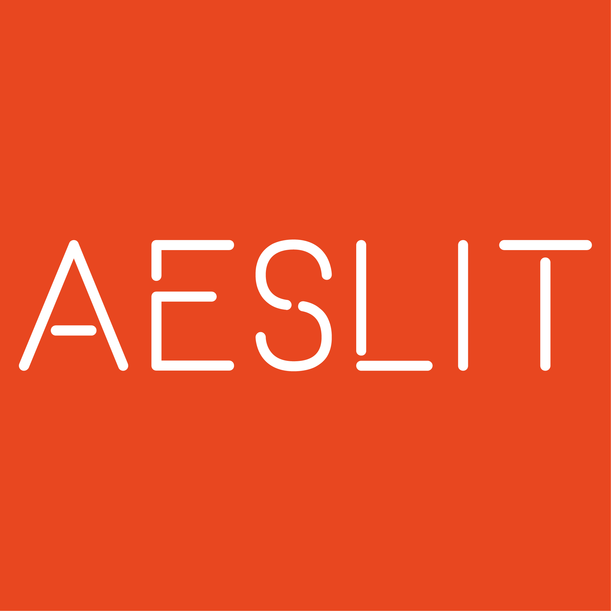 Aeslit Store